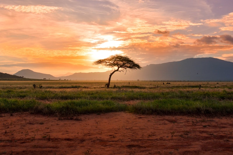 Pourquoi le Lac Rose est la 8e merveille du Sénégal